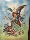 Beautiful Mallard Ducks Couple Handmade Cross Stitch Finished Picture 24   x 18   