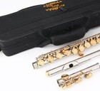 Professional C Flute Set With Case And Accessories