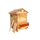 Auto Seeping Langstroth Bee Hives Honey House   7 Beekeeping Frames   Hive Stand