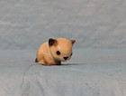 Retired Hagen Renaker Siamese Cat   Lying Kitten