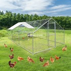 20 13 10ft Metal Walk In Chicken Coop Outdoor Dog Run Cage Rabbit Poultry House
