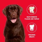 Petrodex Dog Natural Toothpaste Peanut Butter Flavor Tartar Control 2 5 Oz