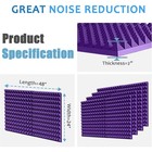 Acoustic Foam Panels 48 x24 x2  Pyramid Shape Soundproof sound Absorbing Panels