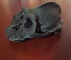 4 replica Fossil Hominid Black Skull Paranthropus Aethiopicus  australopithecus 