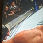 Nate Diaz Autographed Signed 11x14 Stretched Canvas Beckett Bas Coa Ufc Mma