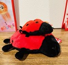Ty Beanie Baby And Ty Buddy Lucky The Ladybug       Set Of 2     