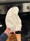 Giant Petoskey Stone From Northern Lake Michigan With Stand 