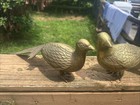 Vintage 15  Pair Brass Male Female Pheasant quail Bird Figurines Mcm Good Patina