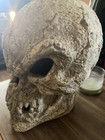 Vtg Ceramic Resin Huge Multicolor Scary Skull Prop Halloween Decor 13 