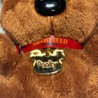 Ty Beanie Babies Pooky The Teddy Bear 4 5  Plush Toy  2004  Garfield The Movie 