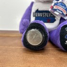 2000 Limited Treasures Coin Bear  Pennsylvania Dec 12  1787 Plush Stuffed Animal