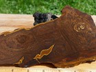 Tcr Deschutes Picture Jasper agate lapidary Rough Slab 210 Grams