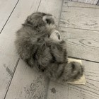 Nwt Vintage 90 s Steiff Sleeping Laying Playing Grey Tabby Cat Minka 074899