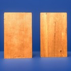 Vintage Slovak Map Printing Blocks Chicago Indiana Illinois Wisconsin Pair