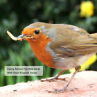 Dried Mealworms Bulk Non-gmo Organic For Wild Blue Bird Food Chickens Hen Treats