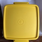 Vintage Tupperware Autumn Harvest Sandwich Keeper 1363
