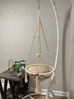 Cat Swing 