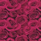 Hydrographic Film Kit Red   Black Roses Flower Pink Dip Ape Water Transfer Hydro