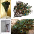 10pcs Real Natural Peacock Eye Feathers 10-12 Inch For Diy Craft Flo