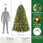 Home Decorators 7 Ft Pre-lit Grand Duchess Twinkling Balsam Fir Led Tree T27