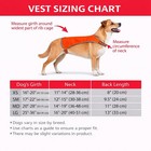 Kong Reflective Dog Safety Vest Walking High Visibility Outdoor Harness