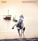 Qatar Arabian Horses Folder Stamps Fdc Postcard Katara Cultural Heritage City