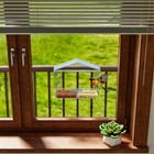 Clear Acrylic Window Bird Feeder With Strong Suction Cups   Removable Tray