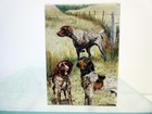 German Shorthaired Pointer Dog Playing Cards Designed By Ruth Maystead  gsp-pc 