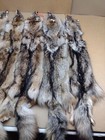 Tanned Eastern Xxl Semi-hvy Coyote Hide  1 Full Tail Grade furs taxidermy crafts