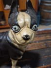 Vintage  Cast Iron Blue Eyes Boston Terrier Bulldog Doorstop 8 Pounds Hubley   