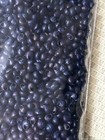 Vintage 1950 s - Navy Blue  4 Ozs -tiny Round Shells - Craft  Sailor s Valentine