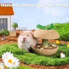 Mini moe Hamster Chew Toys For Teeth - Guinea Pig Small  Colorful