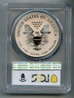 2011 P American Silver Eagle Dollar Pcgs Pr 69 Reverse Proof