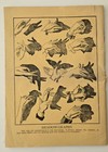 Vintage New Book Of Fun Magic And Mystery No 1029 15 Cent Parlor Tricks
