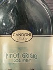Glass Wine Bottle Wall Art     Candoni Pinot Grigio     12 x4    