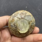 Extremely Rare Ancient Roman Iridescent Glass Bottle With Rainbow Patina 