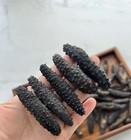 Australian Wild Caught Sea Cucumbers                                     m   25-30pc 250g      