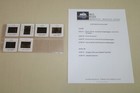 Junior - 6 Press Kit Slides Arnold Schwarzenegger Danny Devito Emma Thompson