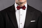 Gentleman s Diamond Pointed Pre-tied Bow Tie Bow Tie Only