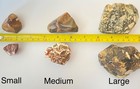 2 5 Pounds Of Tumbling Rough  Agate Petwood Barfstone Jasper Chert Free Shipping
