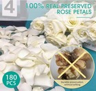 Dried Real White Rose Petals  Freeze Preserved Flower Petals 1 75oz For Valentin