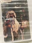 New herrschner s Gallery Collection  forest Santa  Latch Hook Rug Kit