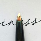 Platinum Fountain Pen 14k Fine Nib