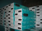 Logitech Wireless Desktop Mk320 Cordless Keyboard   Mouse 920-002836