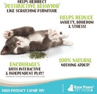 Raw Paws Fresh Catnip For Cats  1-oz  2 Cups  - Use For Refillable Catnip Toys F