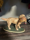 Vintage Hunting Dog golden Retriever Carrying A Pheasant 