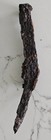 Encrusted Shipwreck Iron Spike Beach Find
