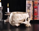 Skull Head Flower Pot Statue Skeleton Figurines Sculptures Halloween Room Deco