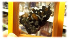 Sericho Pallasite Meteorite Slice Weight 7 0g Polished Chrystal Olivine Gemstone