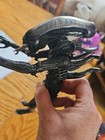 Neca Aliens Alien Warrior Xenomorph 8  Action Figure 2018